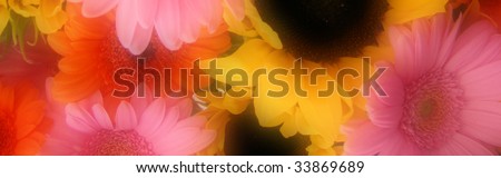 floral banner (soft focus)