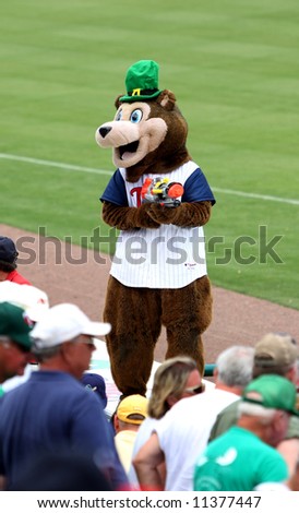 TC Bear, Minnesota Twins baseball mascot, spring training