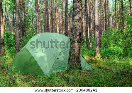 hidden in forest pitched tent - example of stealth camping - stock photo