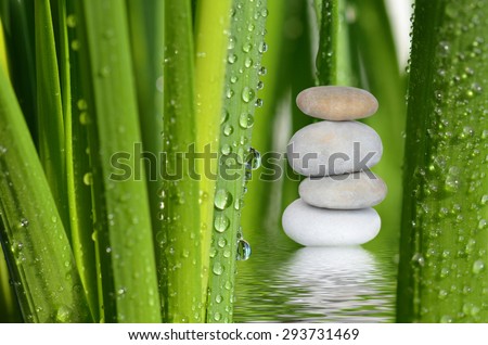 Stone pile,drops on green leaves