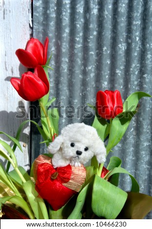 Tulips grow besides rustic barn.  Red tulips with stuffed lamp sitting in center holding red heart.