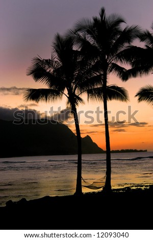 Awesome Kauai sleeps for another night.  Sunset in orange and purple.  Palm trees silhouetted.