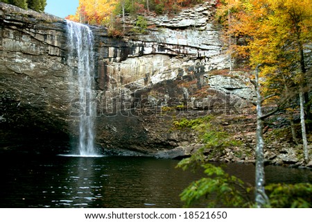 Autumn foliage adds a touch of color to this secluded waterfall.  Water falls over high cliff into deep pool.