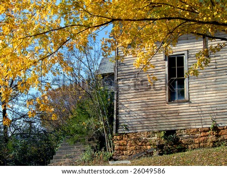 Side view of abandoned white wooden church falling in from age.  Overgrown with yellow autumn leaves filling top of photo.