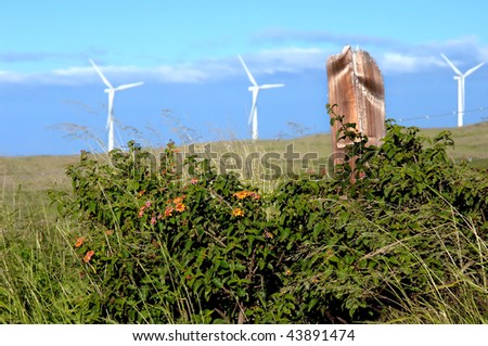 Kau District of the Big Island is grassland and mostly unpopulated except for these big wind powered turbines.