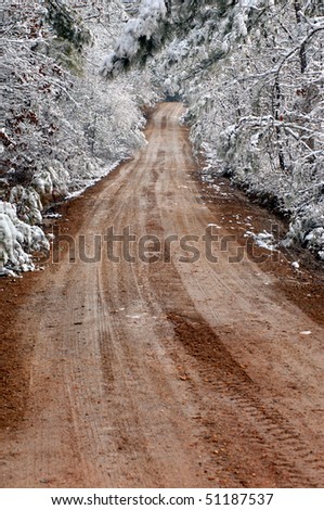Snow laden branches cover this narrow dirt lane which disappears into the darker forest beyond.