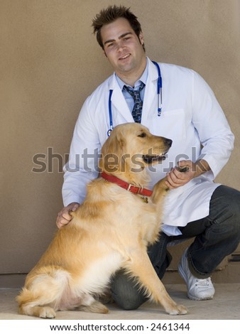 young handsome vet is with Golden Retriever dog
