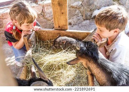 two kids - boy and girl - taking care of domestic animals on farm