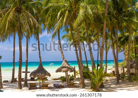 tropical beach with palm trees and beach beds, summer vacations