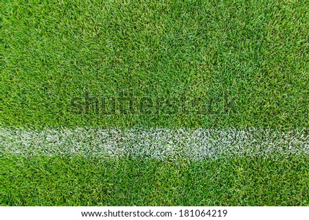 Soccer football field and fresh green grass background