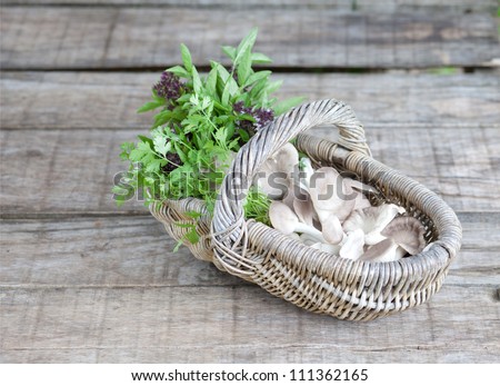 Basket of mushroom, sweet basil and coriander leaves on wooden background