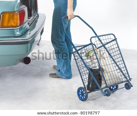 No need to hold the heavy stuffs if you have a movable steel basket