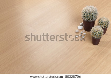 Texture of wooden floor with empty space to put text or photo on it