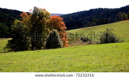 Autumn color in the pasture field, family farm, Webster County, West Virginia, USA