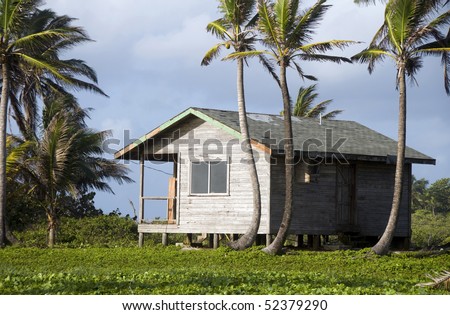 basic simple beach house cabana in jungle  coconut trees big corn island nicaragua central america