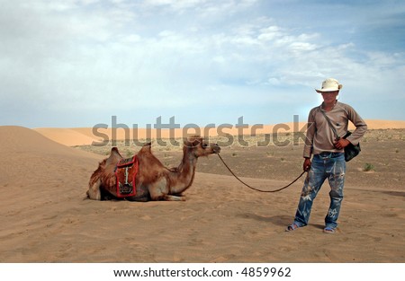 Mongolian Camel master with animal sitting on lead
