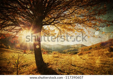 Lonely Beautiful