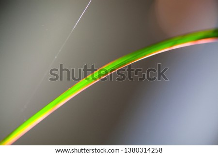 Green Leaf