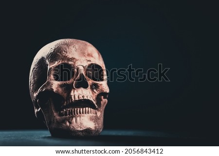 Spooky skull for Halloween. Horror wallpaper.