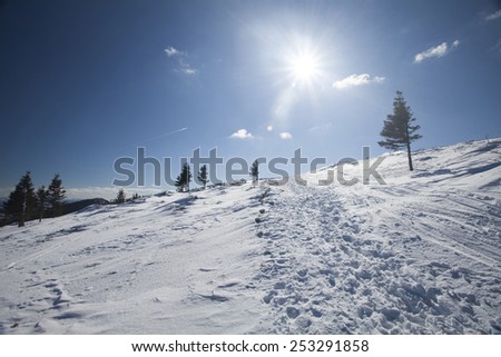 Beautiful winter landscape with snow, sunshine and blue sky
