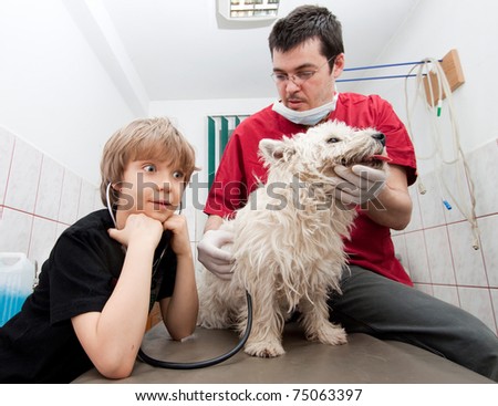 Little boy at vet listening to his dog\'s heartbeats in stethoscope