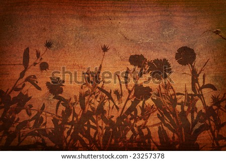 Floral Silhouette on Grunge Wood Background
