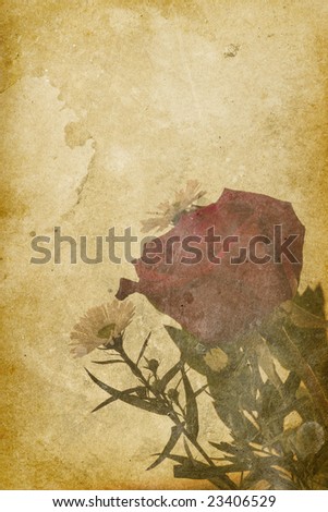 Vintage Rose Imprint Background