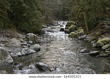 Mountain river with boulders and forest in winter