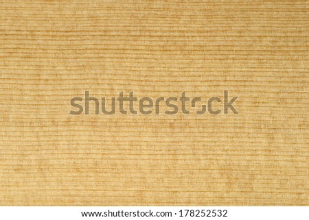 Wood surface -  (Canadian Spruce) light wood texture