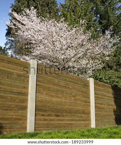 Fence by fruit garden with cherry blossom, safety barrier