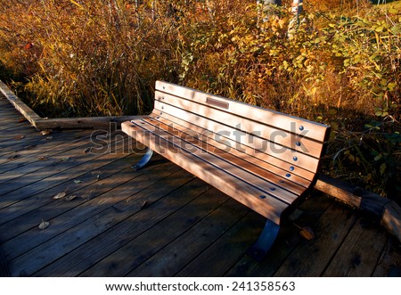 Donated park bench with the words \' In memory of...\
