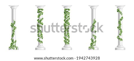 Similar – Image, Stock Photo Vine Architecture
