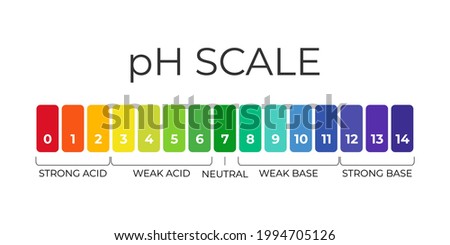 pH value scale chart for acid-alkaline solution. Acid-base balance infographic isolated on white background. Indicator for concentration of hydrogen ion in solution. Vector illustration.