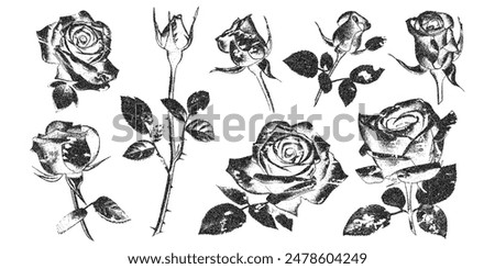 Rose flowers with vintage stipple effect, y2k coquette collage design. Monochrome photocopy retro design rosebud elements. Vector illustration for romantic grunge gothic surreal poster