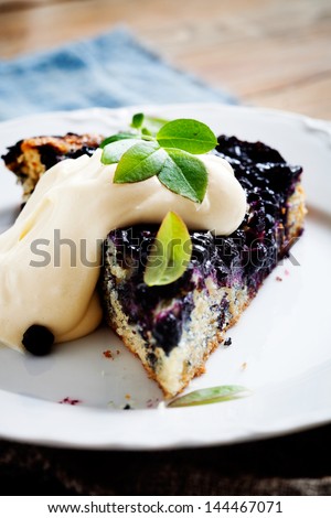 Homemade blueberry pie with whipped vanilla flavored cream