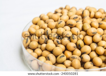 Organic Soybean Seed for Human Food