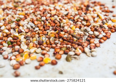 Mixed Wheat and Grain for Bird Feed