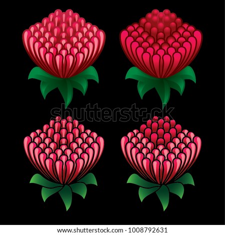 Waratah flower icon set on black background - Waratah is the state floral emblem of New South Wales - Telopea speciosissima