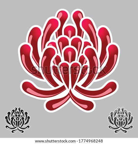 Waratah flower icon on isolated background - Red, Black and Gray version - Waratah is the state floral emblem of New South Wales - Telopea speciosissima