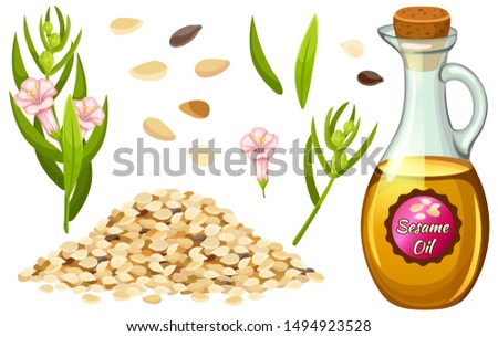 Set sesame oil, seed, flower and leaf. Isolated vector illustration on white background.