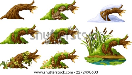 Similar – Image, Stock Photo Mushrooms on a tree trunk