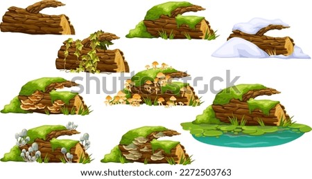 Similar – Image, Stock Photo Mushroom in moss Forest