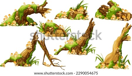 Similar – Image, Stock Photo Broken tree Tree