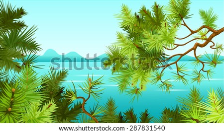 pine trees in the background of the sea. landscape.