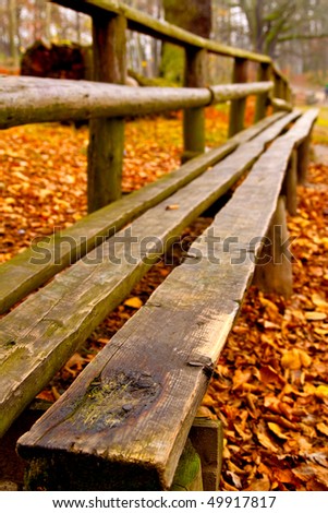 a bench in an autumn park - first plane in focus; soft afternoon sunset