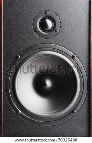 Audio speaker. The musical equipment. Close-up