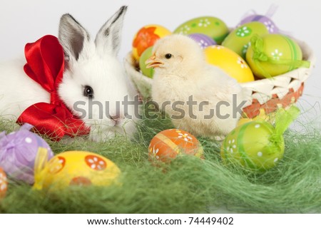 Yellow baby chicken and baby rabbit  with red neck bow sitting on grass, surrounded by Easter eggs. High resolution image taken in studio.