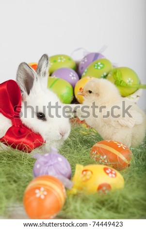 Cute white bunny with red bow on his neck and a small yellow baby chicken are sitting on grass, surrounded by Easter eggs. High resolution image taken in studio