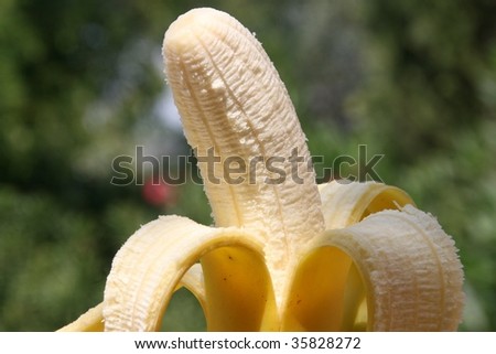 tropical fruits: a yellow opened banana with its skin