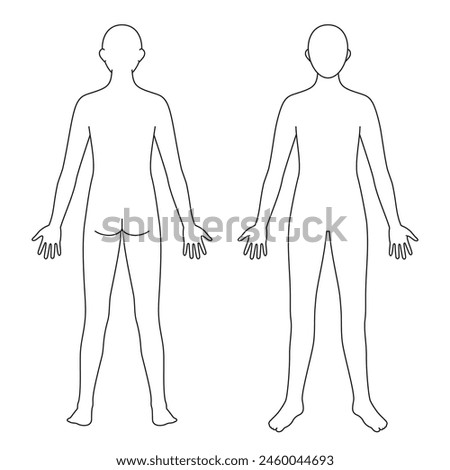 human body model, outline, front and back, vector file